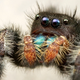 Illustration for article titled Exposure therapy can make this picture less scary — by altering your brain